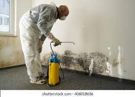 Best Environmental Consulting for Mold Prevention  in Beach Park, IL